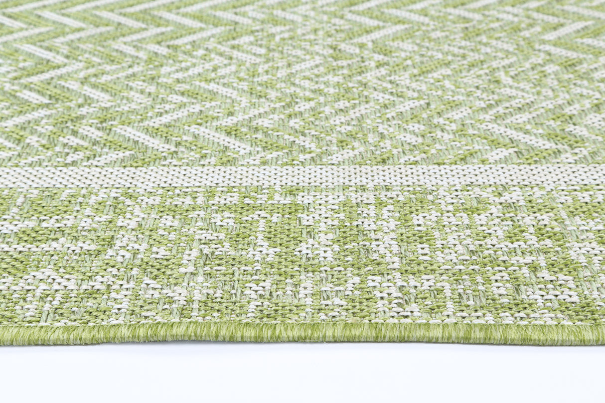 Temple 1257B Border Green