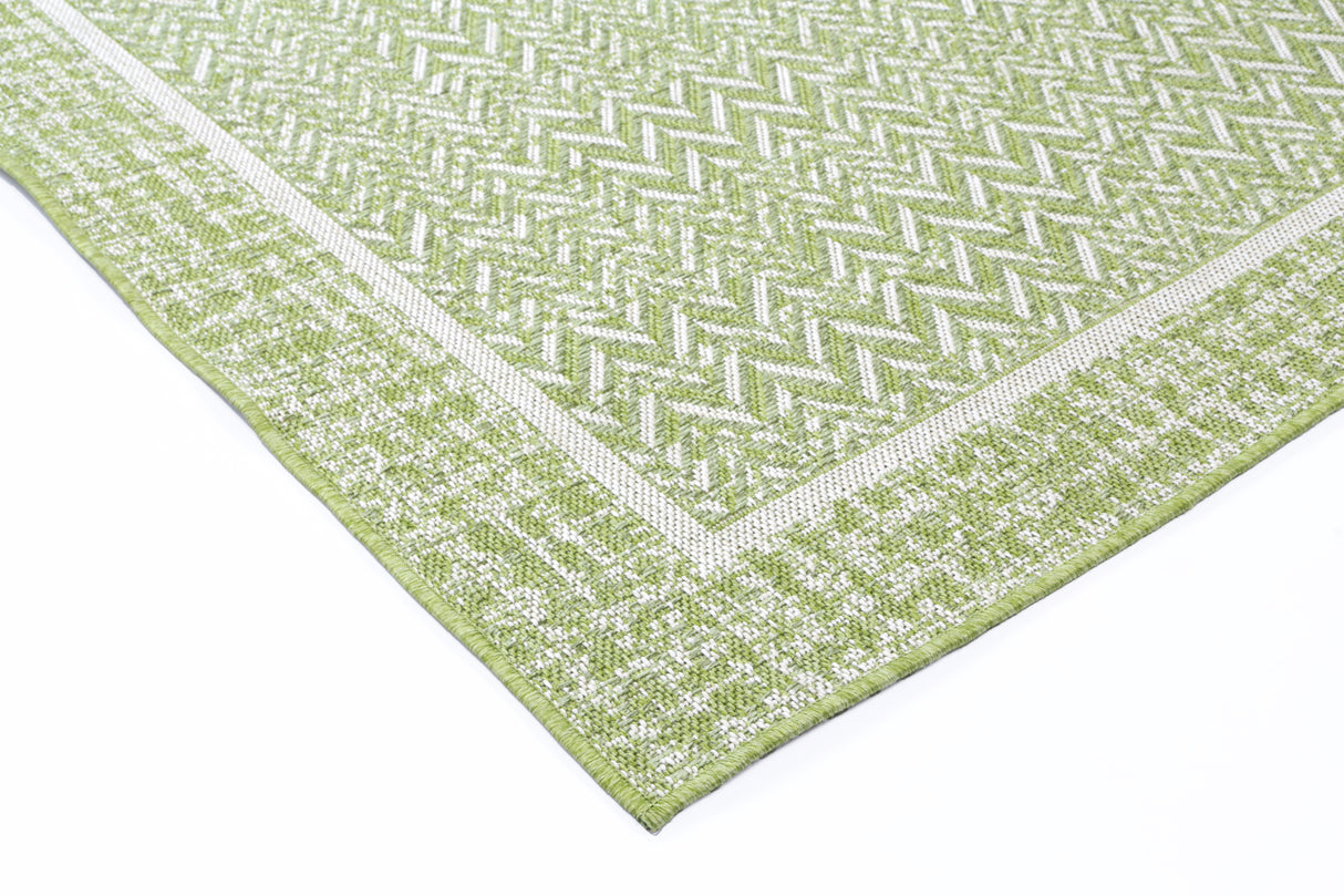 Temple 1257B Border Green