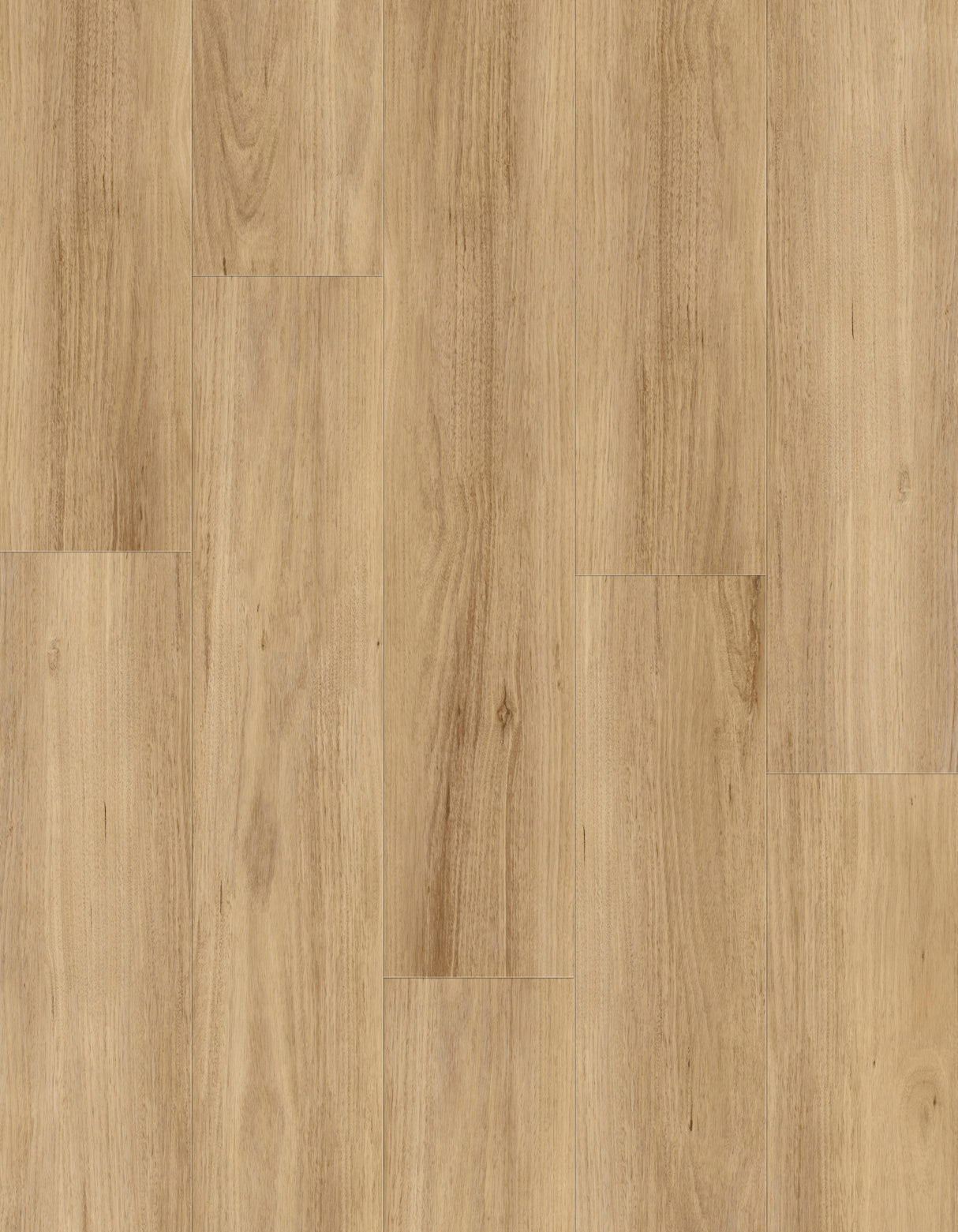 Nineguard 22H03 Seaside Glow 1800 X 228 X 9 Pcs /4