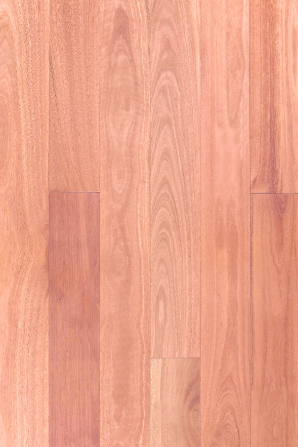 Woodline Premier Sydney Blue Gum 1. Engineered Timber Flooring