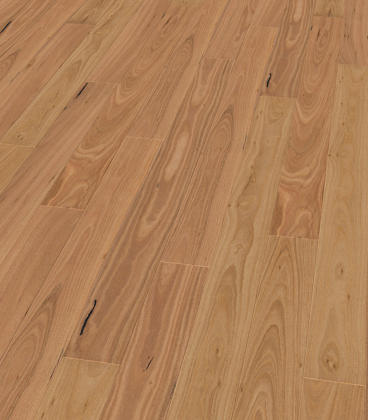 Woodline Elite Origins Blackbutt 1820 X 135 X 14 | 1.4742Pk