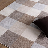 Canyon Checkered Multi Rug BADE