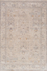 Crucial Vintage Light Grey Transitional Rug Smartex Int