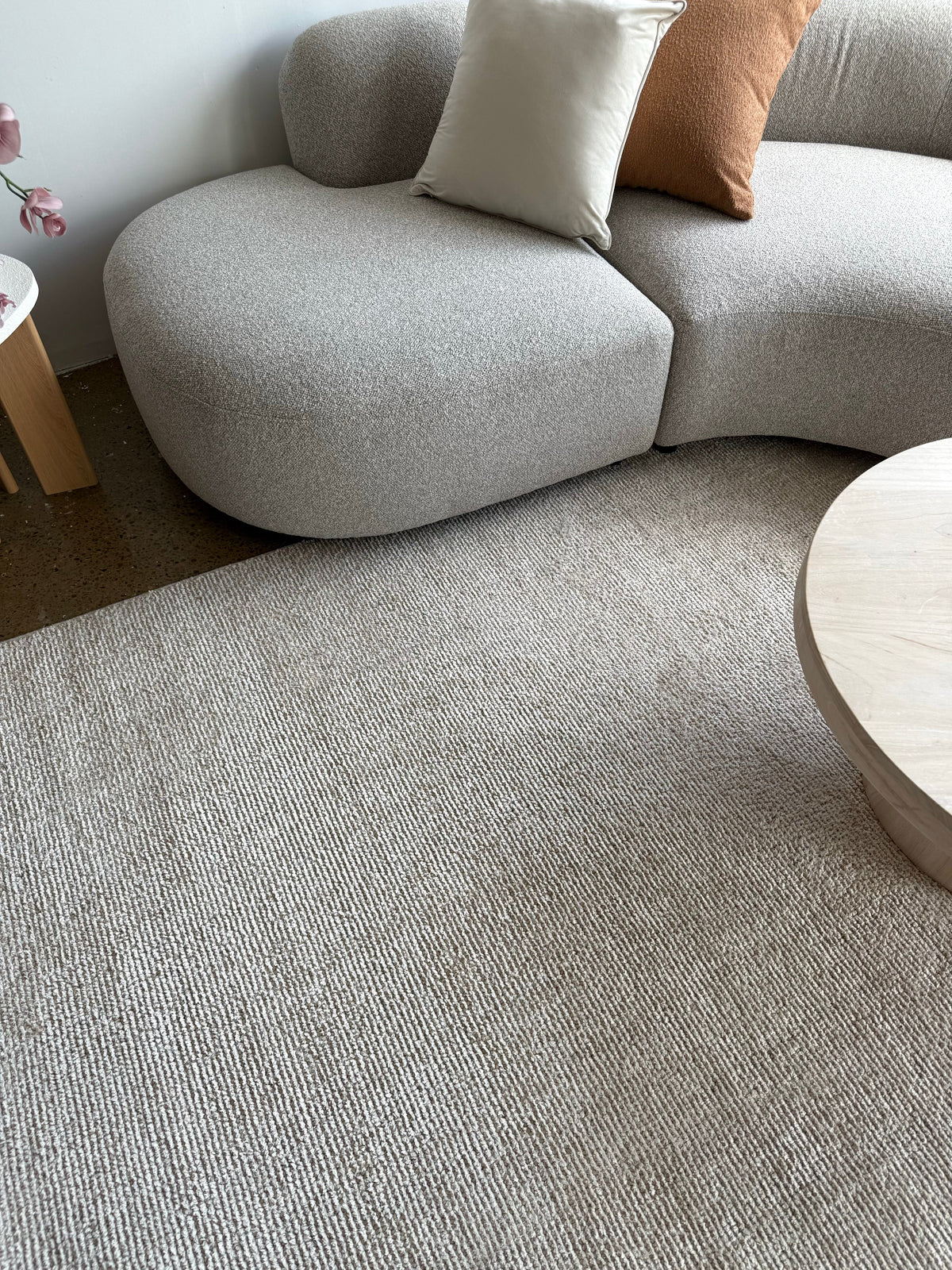 Luna Sand Beige Rug - HD99B