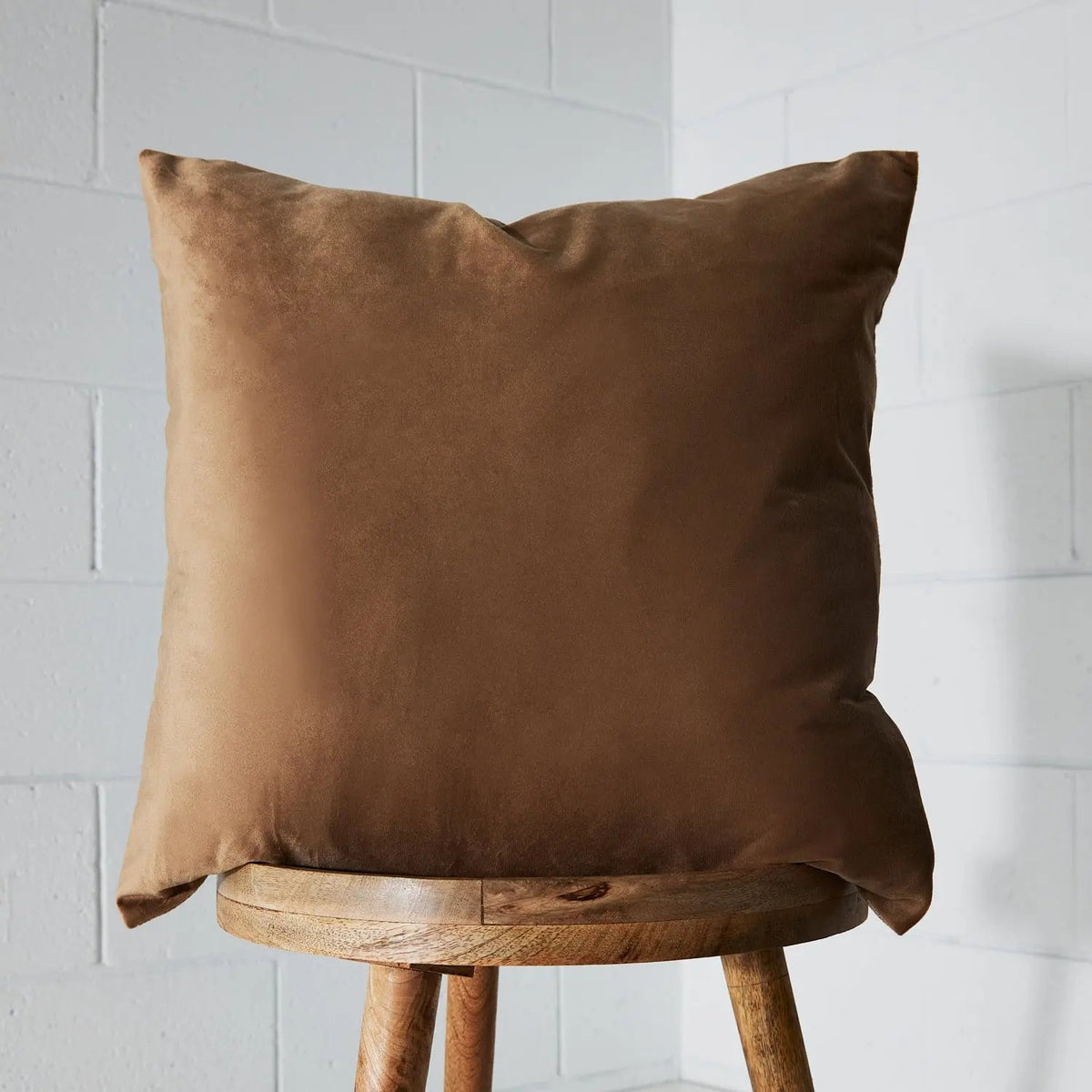 Velvet Feather Cushion Beige KAILE