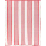 Miami Watermelon Stripe Indoor Outdoor Rug